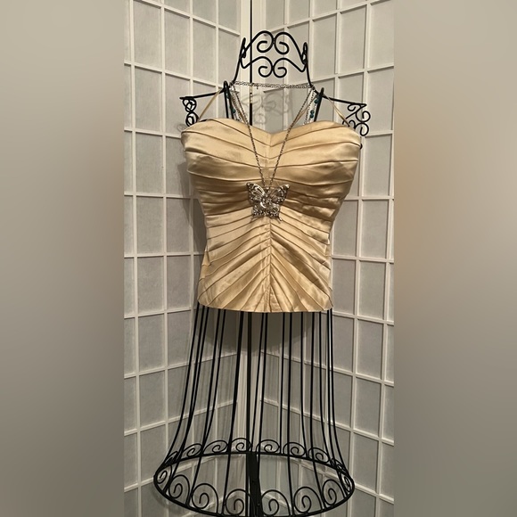 bebe Tops - BEBE Front Pleated Satin Tube Top NWT